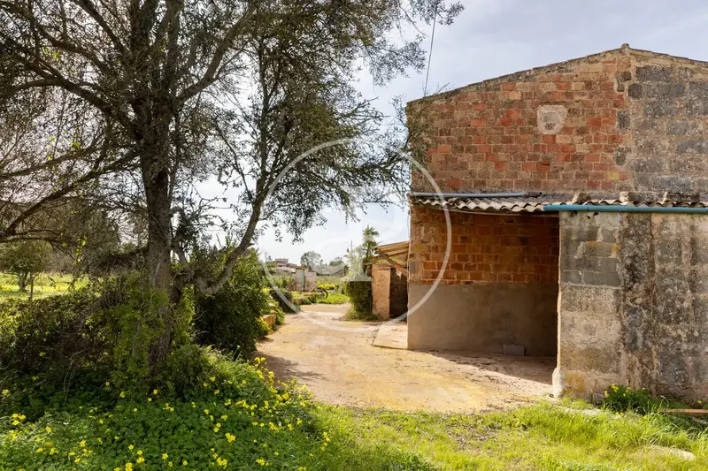 For Sale Rustic Property with Possibility of Full Renovation, Own Well, Electricity and Authentic Mallorcan Character — photo 6