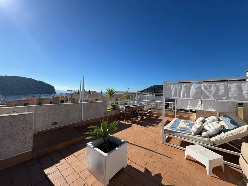 Penthouse apartment with roof terrace and sea view — photo 1