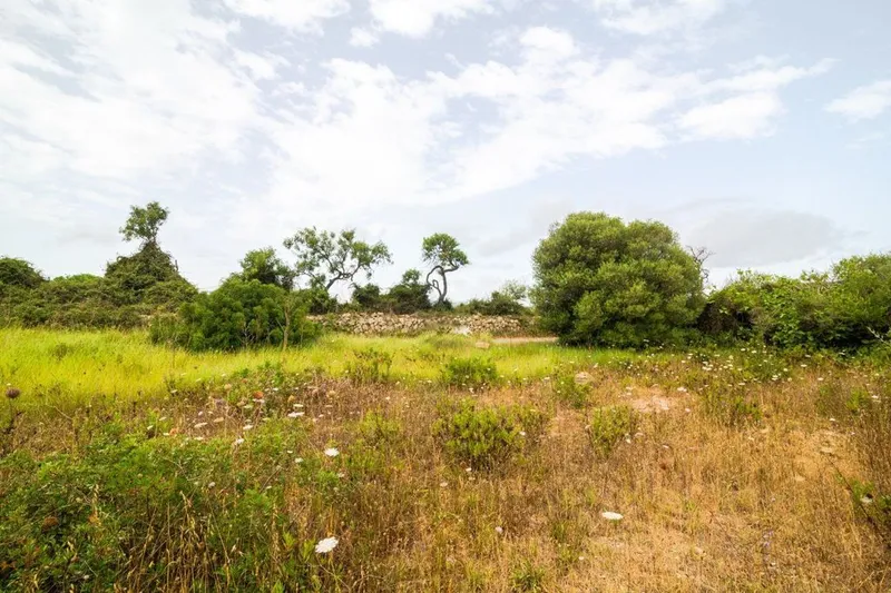 Land in Capdepera, Province of Balearic Islands — photo 12