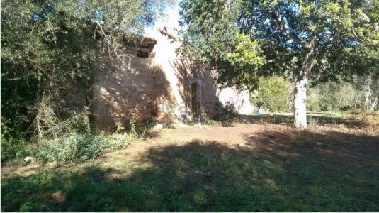 Rustic property - Inca (Zona periurbana), Plot Surface 9000m² — photo 4