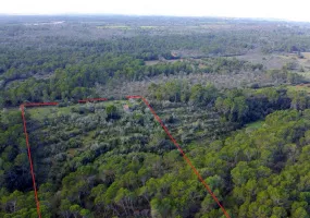 Exceptional Rustic Plot with Building License — photo 9