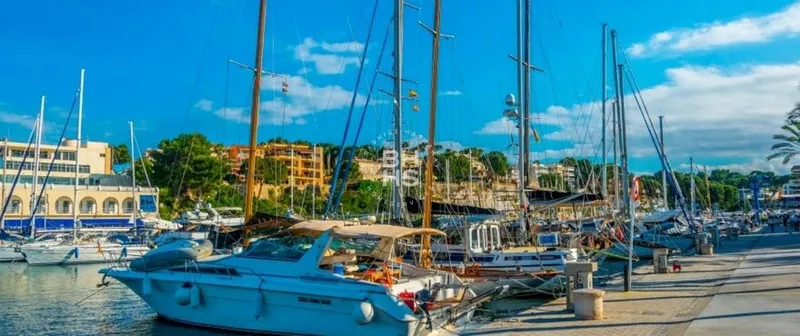 Single-family plot for sale in Porto Cristo — photo 4