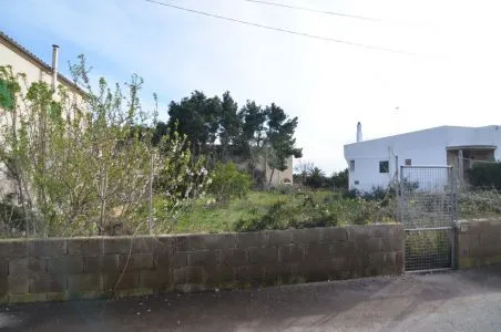 Rural Land - Santanyí (Alqueria Blanca) — photo 7