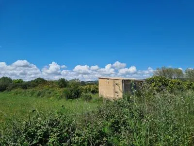 Country House - Manacor, Plot Surface 1650m² — photo 2