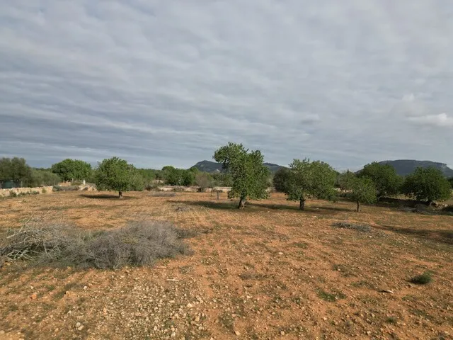 Large building plot with license for sale in Llucmajor, South Mallorca — photo 1