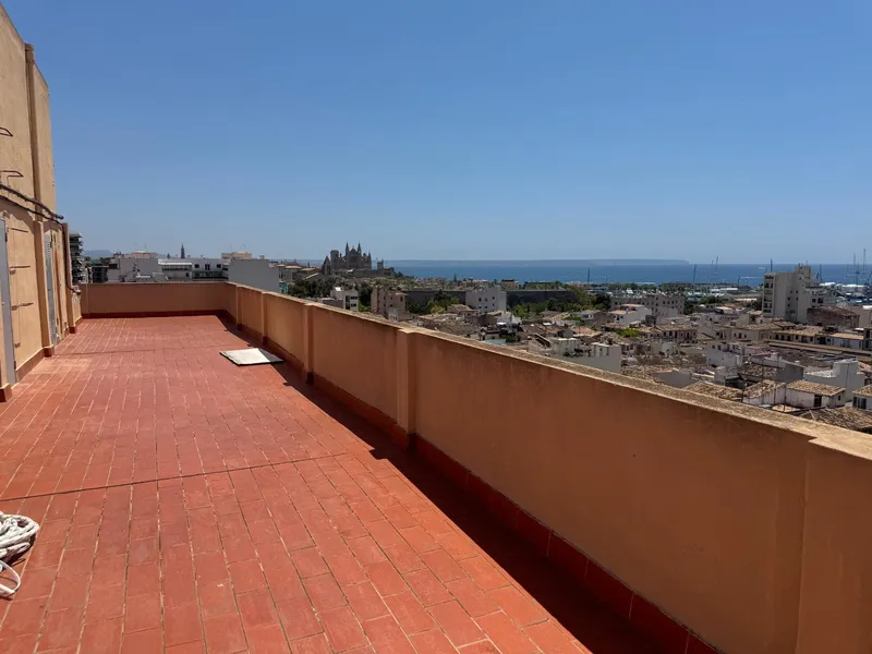 Bright renovated apartment in Santa Catalina – ready to move in — photo 8