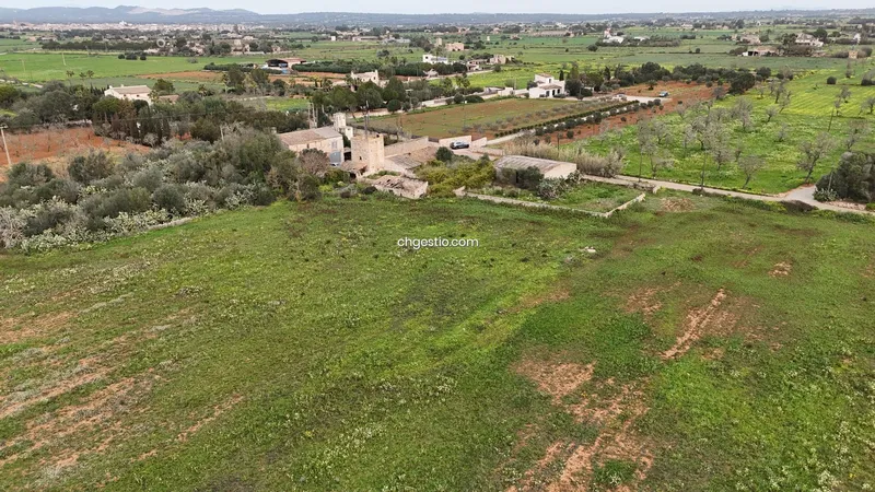 Plot in Campos — photo 4