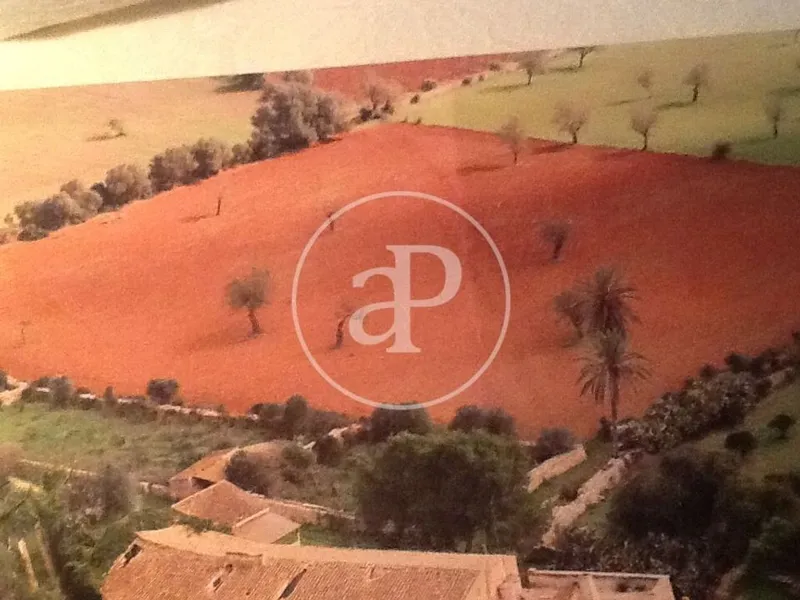 Farmhouse in Felanitx, Province of Balearic Islands — photo 12
