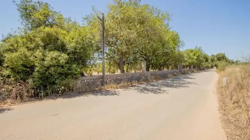 Investment opportunity: property without possession — photo 11