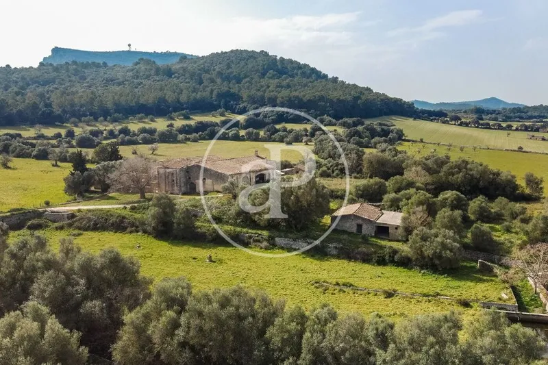 Farmhouse in Algaida, Province of Balearic Islands — photo 1