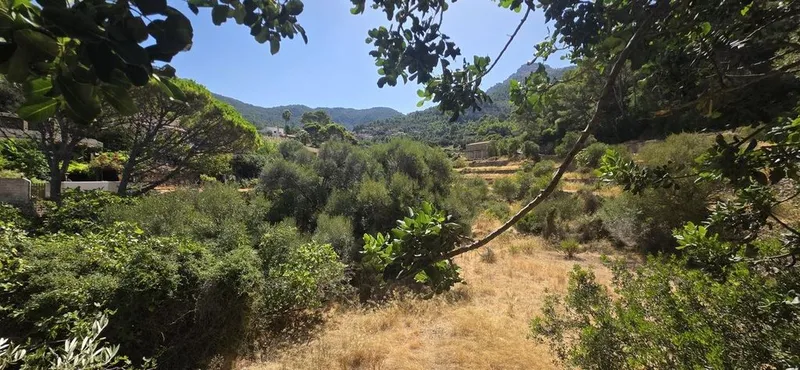 Country House in Estellencs, Province of Balearic Islands — photo 12