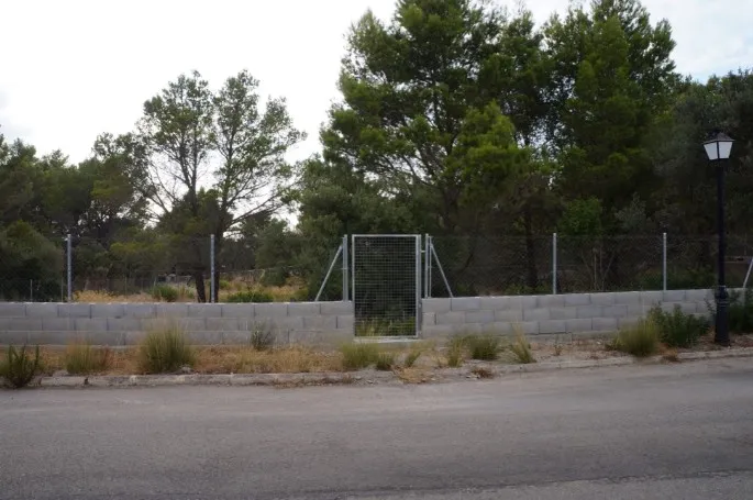 Plot for sale in Valldemossa — photo 5