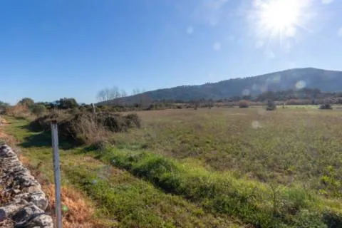 Plot — photo 1