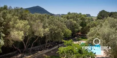 Real estate picture 0 Ref. No. 74024 — photo 10