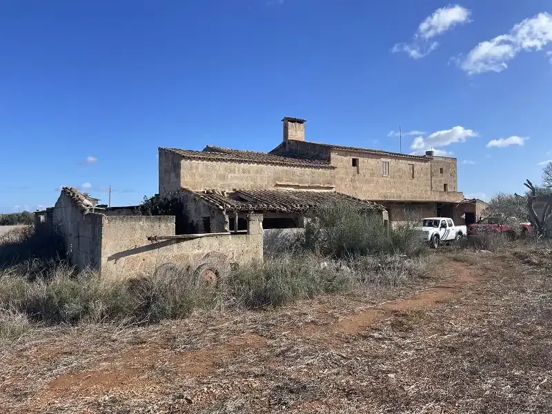 Finca to renovate, perfect for keeping animals — photo 6