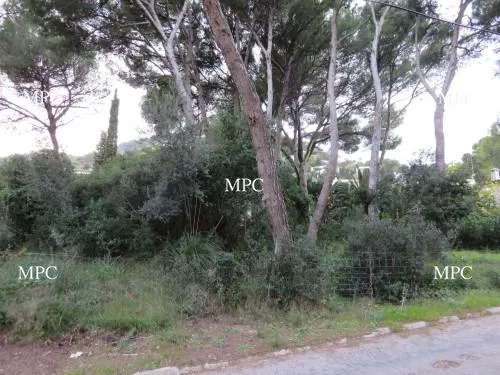 Investment Project. Plot set high on the hillside close to the sea in Costa Canyamel — photo 1