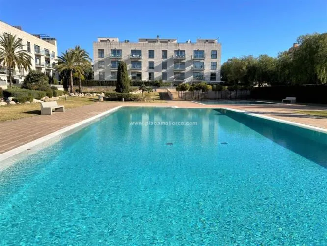 Apartment in Palma de Mallorca, Schools Area — photo 1