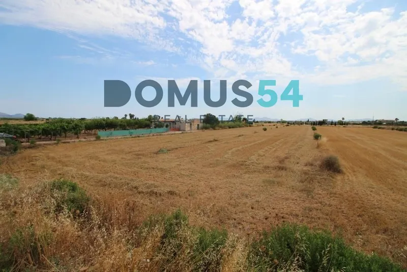 plot in Muro — photo 6