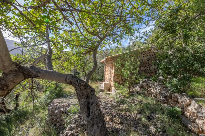 Two mountain cottages with car access in Fornalutx — photo 5