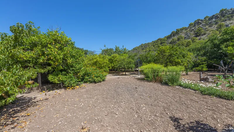 Investment! Finca in Soller on a large plot with fruit trees and lots of potential — photo 11