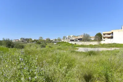 Urban Land Manacor — photo 1