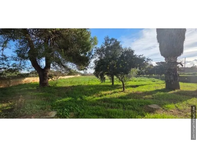 Country house for sale on Camino son Moix — photo 11
