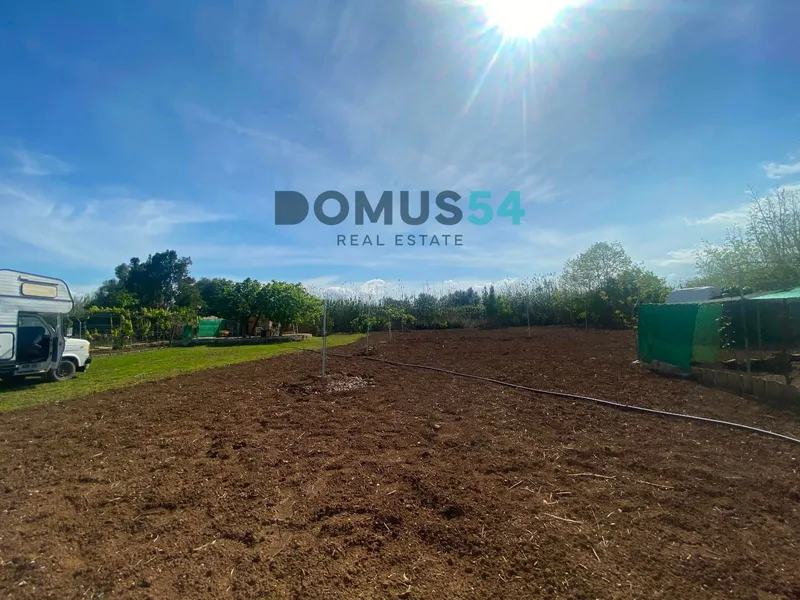 plot in Sa Pobla — photo 6