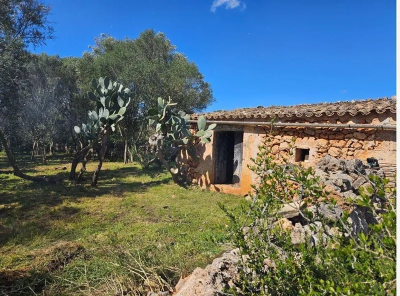 Urban plot of land - Costitx, plot surface 14898 m2, distance to the sea 20 km — photo 3