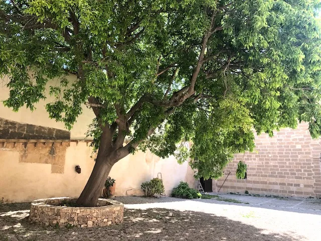 Possessio de Son Dameto — photo 10