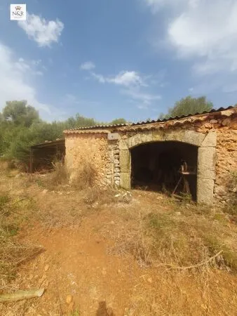 Rustic property in Sencelles (Cas Canar) with 25 m² built area and 48,266 m² plot — photo 7