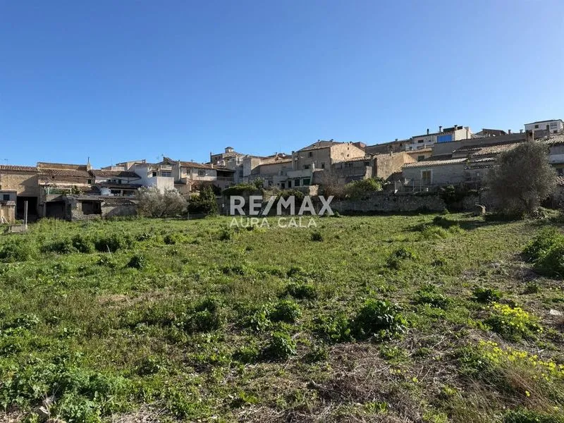 Plot for sale in Montuiri — photo 1