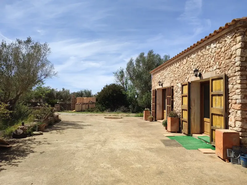 Rustic estate for sale in the municipality of Manacor, Ribera area, between Vilafranca de Bonany and Felanitx, with a total of approximately 7,281 m2. — photo 2