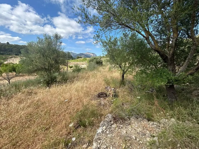 Discover this authentic stone cottage in Alaró, in a privileged enclave where tranquility, nature and the impressive — photo 12