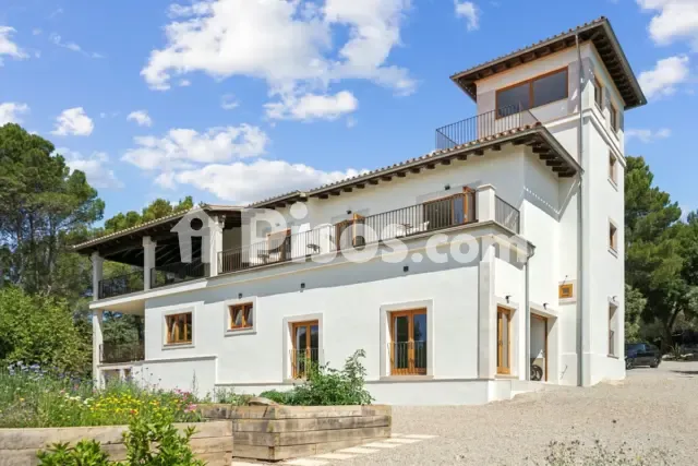 Rustic finca in Es Camp Redó — photo 1