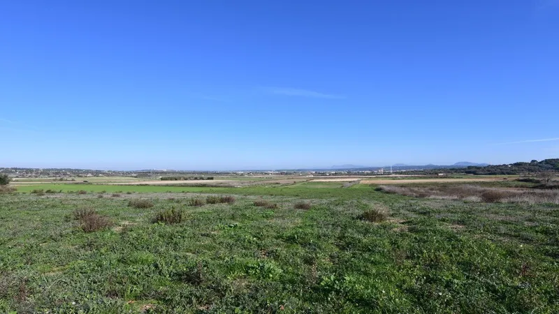 Beautiful plot in Petra with beautiful panoramic views of the Tramuntana mountains — photo 5