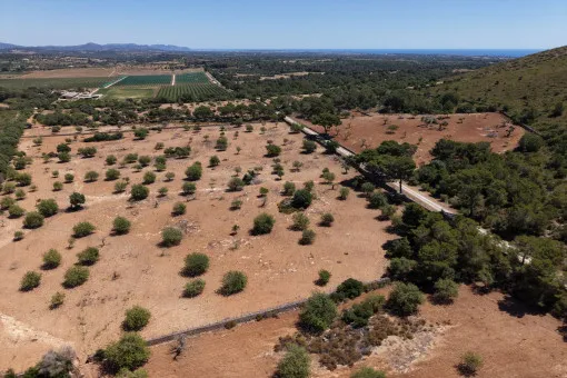 Cala Mandia, Beautiful Plot with Stunning Panoramic Views and Project near Cala Mandia — photo 5