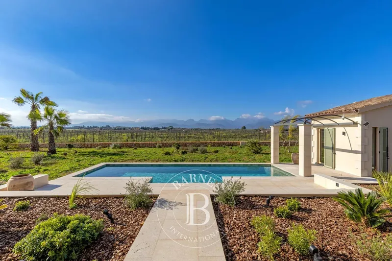 Contemporary Countryside Finca with Vineyard Views Near Sencelles — photo 3
