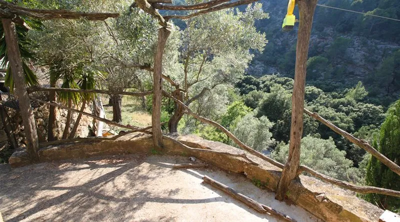 Olive grove in quiet area with semi-renovated little house — photo 5