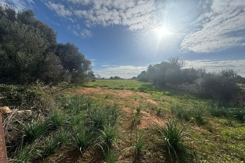Building plot with finca project near Cala Mondragó — photo 2