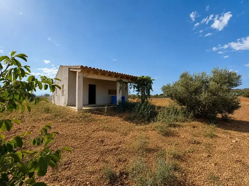 Agricultural estate near Campanet in a privileged natural setting — photo 7