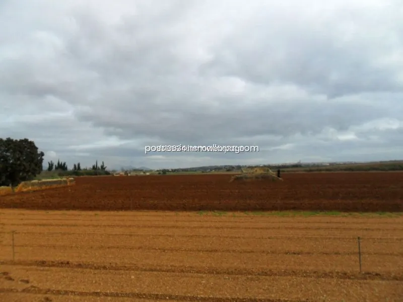 Rural or Farmhouse in Llubí, Province of Balearic Islands — photo 9