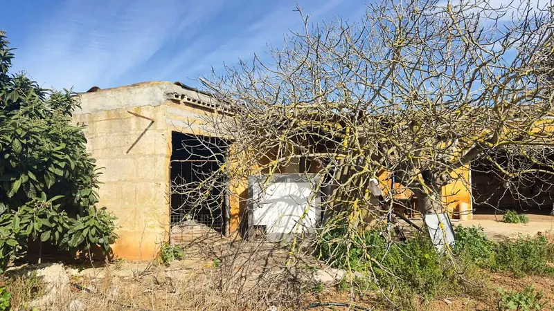 Rustic finca with its own well and 14,186 m² of land in Muro — photo 12