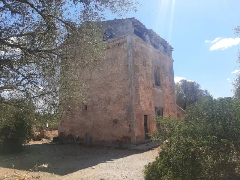Large Mallorcan estate in Campos - 150,000 m² just 2 km from Es Trenc — photo 10
