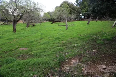 Large urban plot for sale in Cala Ratjada — photo 1
