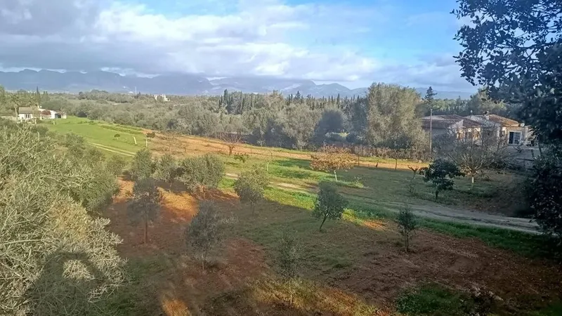 Rural or Farmhouse in Sencelles, Province of Balearic Islands — photo 3