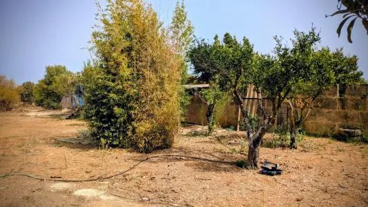 Rustic property - Porreres (Afueras) — photo 9