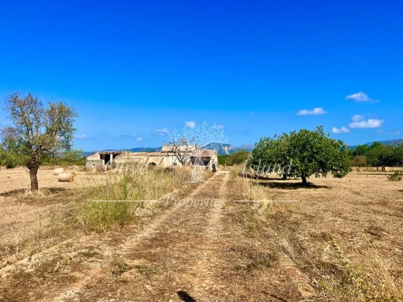 Land in Inca, Province of Balearic Islands — photo 2