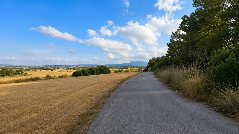 Land in Algaida, Province of Balearic Islands — photo 4