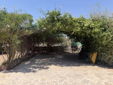 Rustic finca with an idyllic garden and pool between Son Carrio and Porto Cristo — photo 6