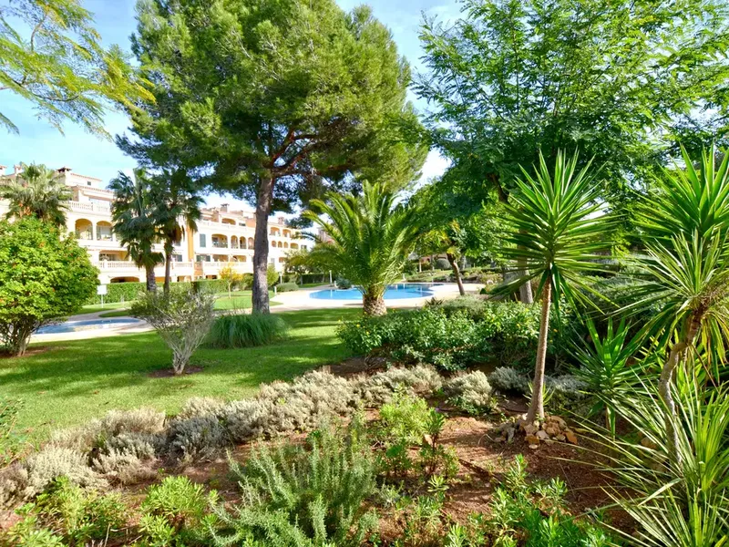 Apartment in Puig de Ros, Mallorca — photo 3